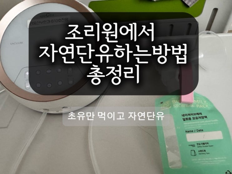 조리원에서 초유만 먹이고 자연단유 하는 방법 총정리