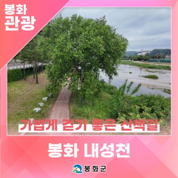 '봉화 내성천', 봉화읍에서 가볍게 걷기 좋은 하천 산책길 | 제1기 봉화군 정책공감 서포터즈 이황준님