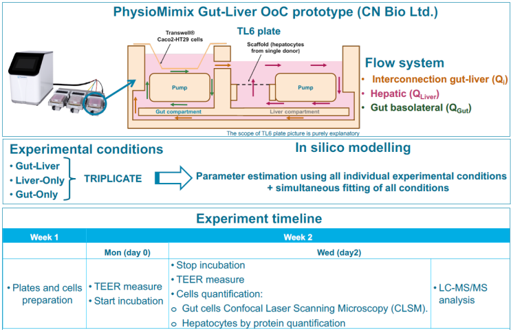 [연구 포스터 리뷰] In Silico modelling과 결합된 Gut-Liver Organ-on-a-Chip ...