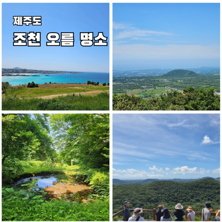 제주 조천 가볼만한곳 서우봉 거문오름 등 제주도 동쪽 오름 명소 4....
