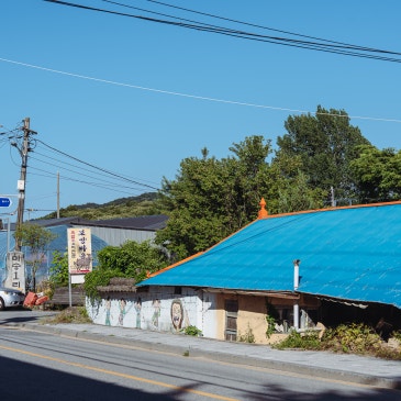 [기자단] 시간이 멈춘 듯한 시골 골목 여행 음성 원남면 보천리 벽화마을