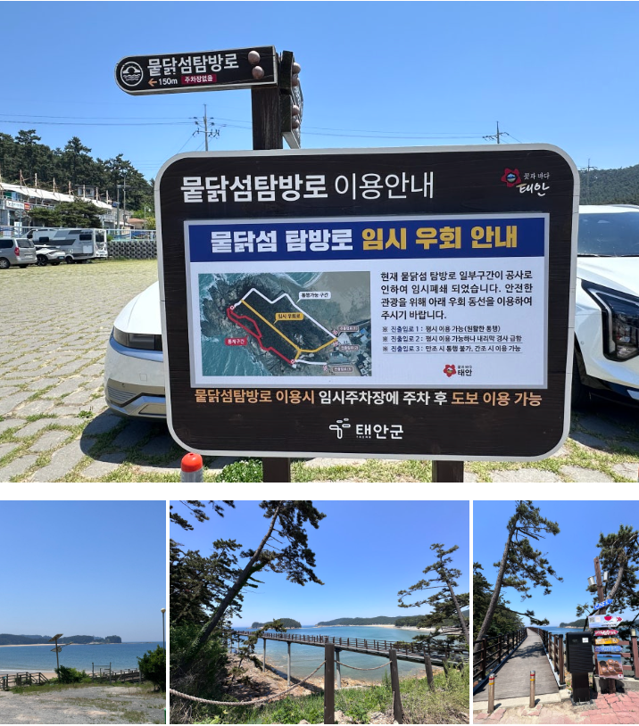 태안 가볼만한곳 뭍닭섬 탐방로｜만리포해수욕장 주차·데크길 후....