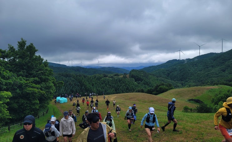 Scenery of the Spindle Trail Run(20km)