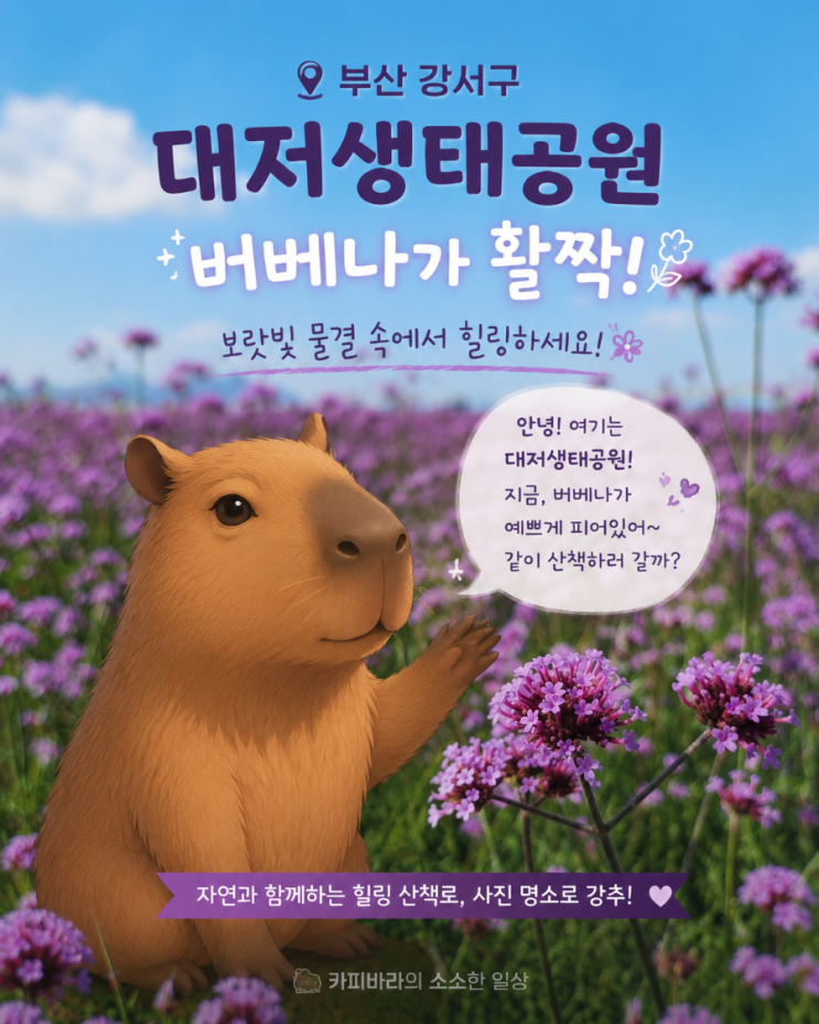 부산 강서구 가볼만한곳 대저생태공원 버베나 개화! 인생사진...