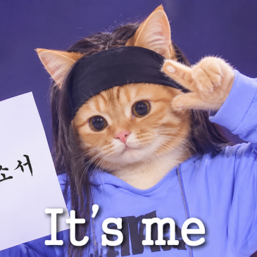 날 가두지 마, 보석함 | 눈에 띄는 자소서 쓰기 위한 3가지 원칙