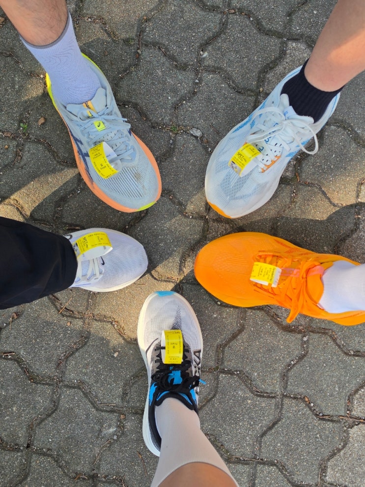 2026 서울런 10km 마라톤 참가후기