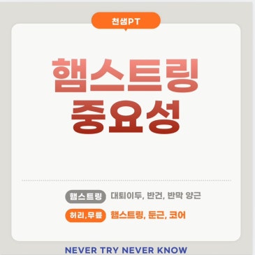 햄스트링 중요성 네이버 블로그 대표 이미지