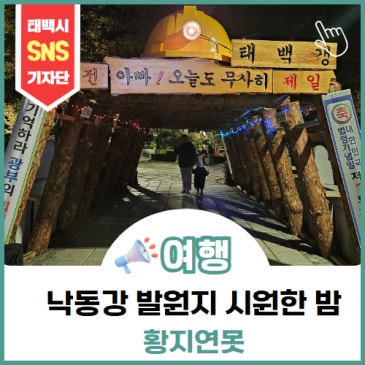 북적이는 황지연못, 낙동강의 발원지 시원한 밤