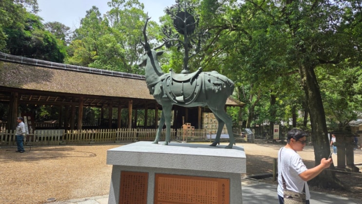 일본 오사카 단체여행 갈만한가?(3)/모두투어 내돈 내산 나라 가스가....
