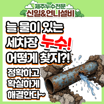 제주도누수 세차장 수도요금 폭탄의 주범! 용담동 현장 속 시원한 제주누수탐지전문 해결기