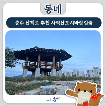 충주 산책로 추천 사직산도시바람길숲 도심 속 힐링