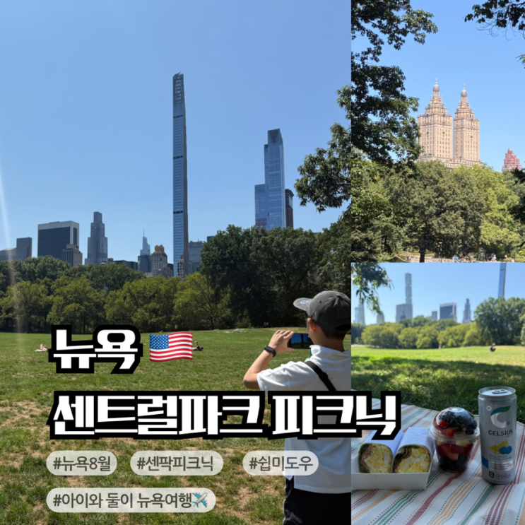 뉴욕여행 2일차 8월 센트럴파크 피크닉, 쉽미도우 스카이라인 명당 ....