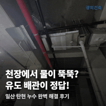 유도 배관 설치로 일산 탄현 쌍용스윗닷홈 천장 누수 해결 후기 시공 사례