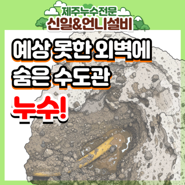 제주도 오라동에 10년된 누수, 아무도 예상 못한 외벽 수도관을 찾아낸 여성누수전문가의 정밀 탐지 해결기!