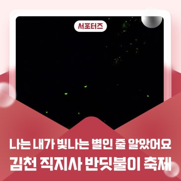 나는 내가 빛나는 별인 줄 알았어요김천 직지사 반딧불이 축제 _ 김천시 서포터즈 연혜정