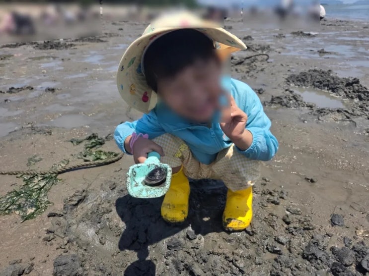 소담공원 해루질 갯벌체험 준비물, 물때 주차장 조개잡는 법
