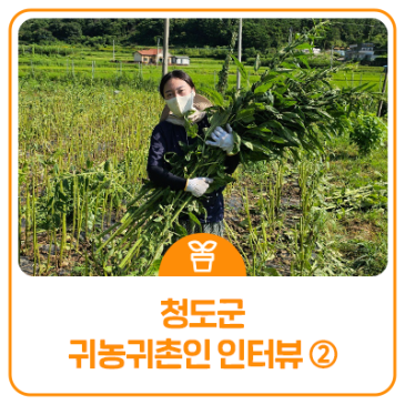 청도군 귀촌 인터뷰 : 땀방울로 그린 청춘, 청도에서 찾은 '진짜 행복'