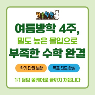 짱솔수학 대치동 여름방학특강, 초3~고3 부족한 수학 4주 완성 RSS 대표 이미지