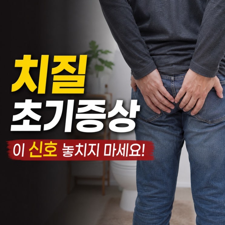 치질 초기 증상부터 치료까지 총정리｜원인, 자가진단, 좌욕, 비데 사용법