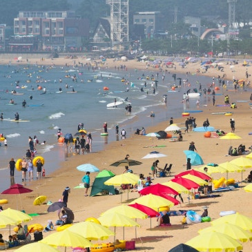 태안 해수욕장 개장일 확인하고 떠나는 여름휴가! 꽃지부터 만리포까지 핵심 6곳 추천