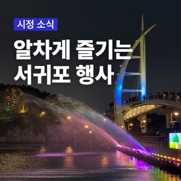 알차게 즐기는 서귀포! 문화 행사와 함께하는 다양한 이벤트