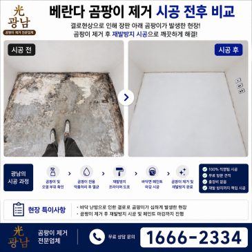 장판 곰팡이 제거 및 재발방지 시공 사례｜난방 결로로 발생한 장판 곰팡이