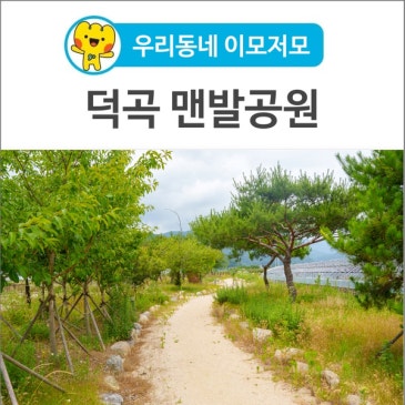 [우리동네 이모저모] 맨발 걷기로 건강관리 하기 좋은 덕곡 맨발공원
