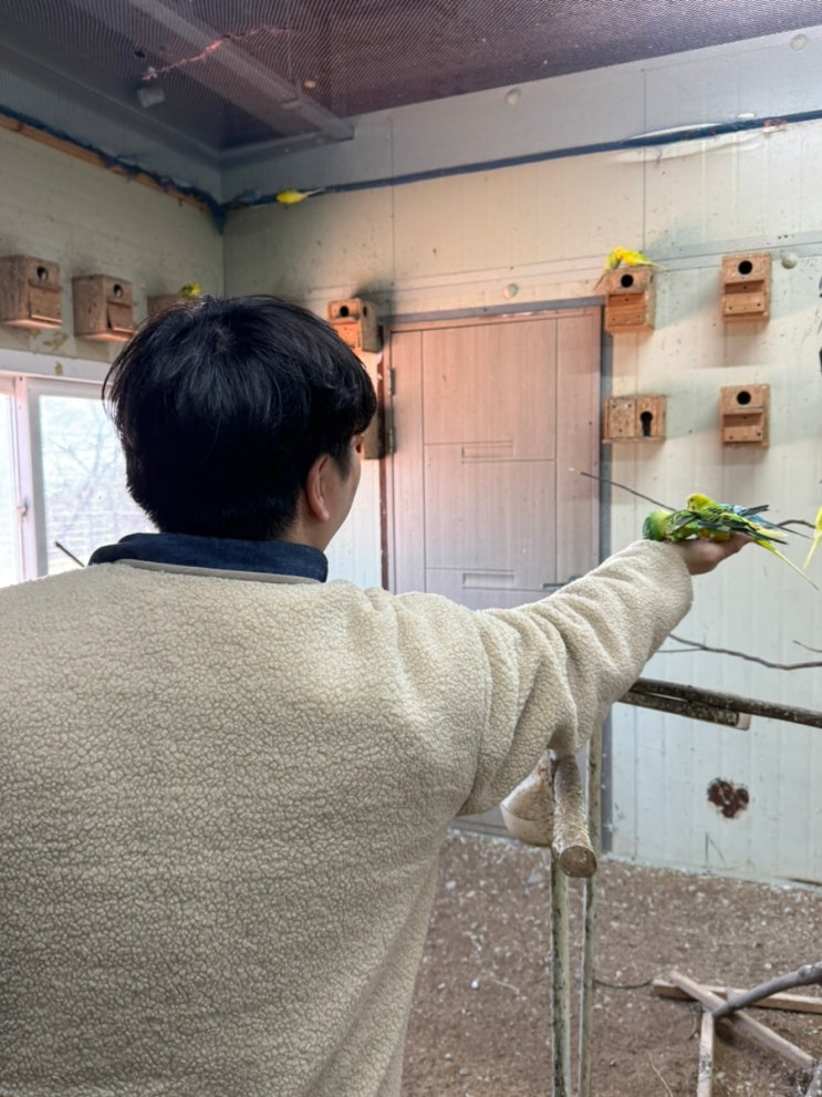[일상] 경남 남해 전남 여수 가볼만한곳 "남해 상상양떼목장 편백숲"....