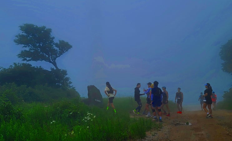 Scenery of the Spindle Trail Run(20km) #2