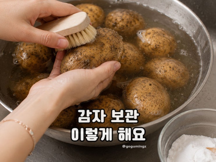 감자 보관방법 총정리, 감자 냉장·냉동 보관 삶은 감자는?