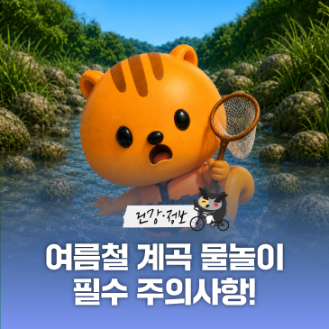 ⚠️여름철 계곡 물놀이 필수 주의사항⚠️ 다슬기 잡을 때 이것만은 꼭 지키세요!