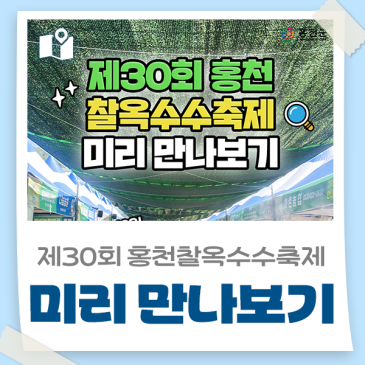 [홍천 가볼만한곳] 2026 제30회 홍천찰옥수수축제 미리 만나보기!