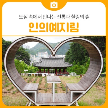 삼척 인의예지림, 도심 속에서 만나는 전통과 힐링의 숲 | 삼척 가볼만한곳