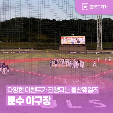 [블로그 기자] 다양한 이벤트가 진행되는 문수 야구장 울산웨일즈 관람 추천
