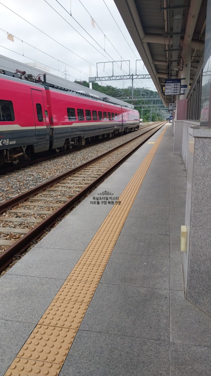 북울산역에서 동대구역 가기 혹은 북울산역에서 ktx역 환승 방법