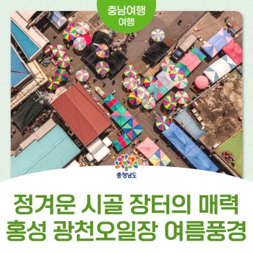제철 먹거리 가득! 오랜만에 찾은 홍성 광천오일장 풍경