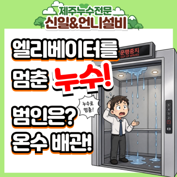 제주도누수 때문에 엘리베이터가 멈췄다? 도련동 아파트 미스터리한 온수 배관 해결기!