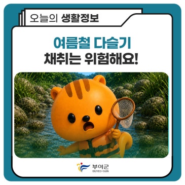 여름철 다슬기 채취는 위험해요!