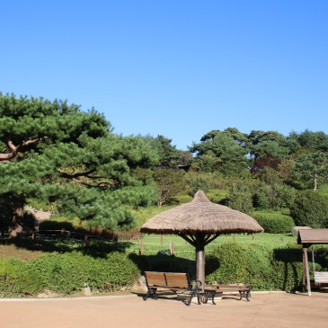 [태안 7월 가볼 만한 곳] 여름 무더위 날리는 시원한 안면도 힐링 도보 여행 코스 추천 및 총정리