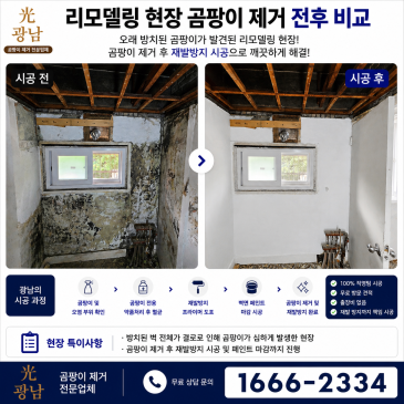 리모델링 중 발견된 벽지 곰팡이 제거 및 재발방지 시공 사례