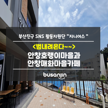 [지니어스] 부산 안창호랭이마을과 안창매화마을카페 이야기