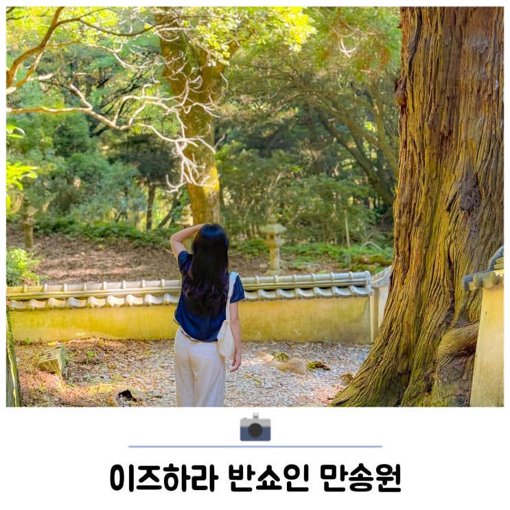 대마도 1박2일 자유여행 이즈하라 반쇼인 만송원 관람 후기