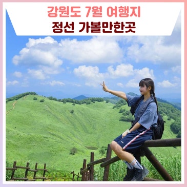 7월 강원도 여행지 추천, 정선 가볼만한곳 [강원도 가볼만한곳]