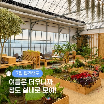 [7월 월간청도] 여름은 더우니까 청도 실내로 모여!