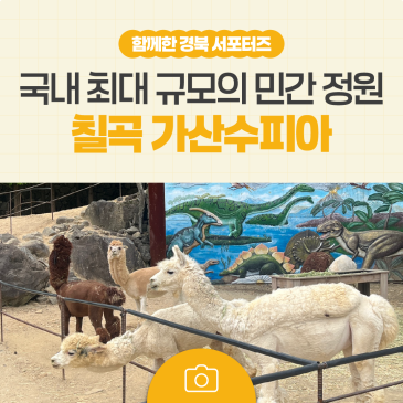 초여름에 가기 좋은 경상북도 나들이 명소, 칠곡 가산수피아!