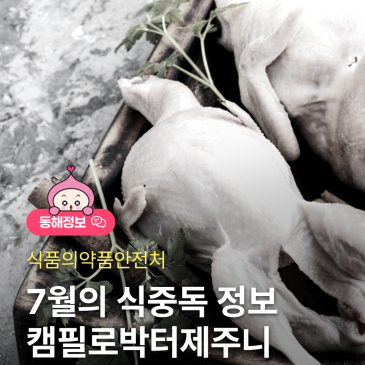 7월의 식중독 정보_캠필로박터제주니