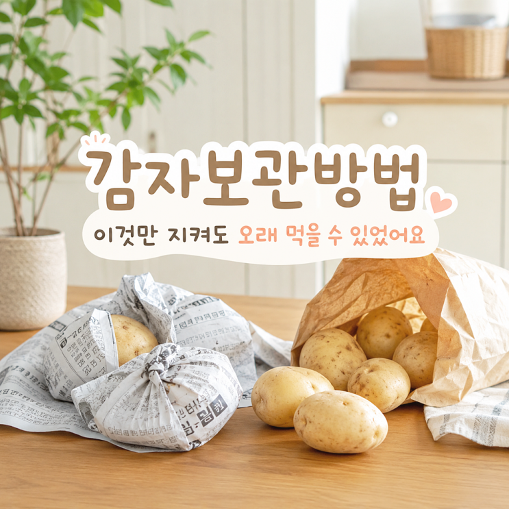감자보관방법 이것만 지켜도 오래 먹을 수 있었어요