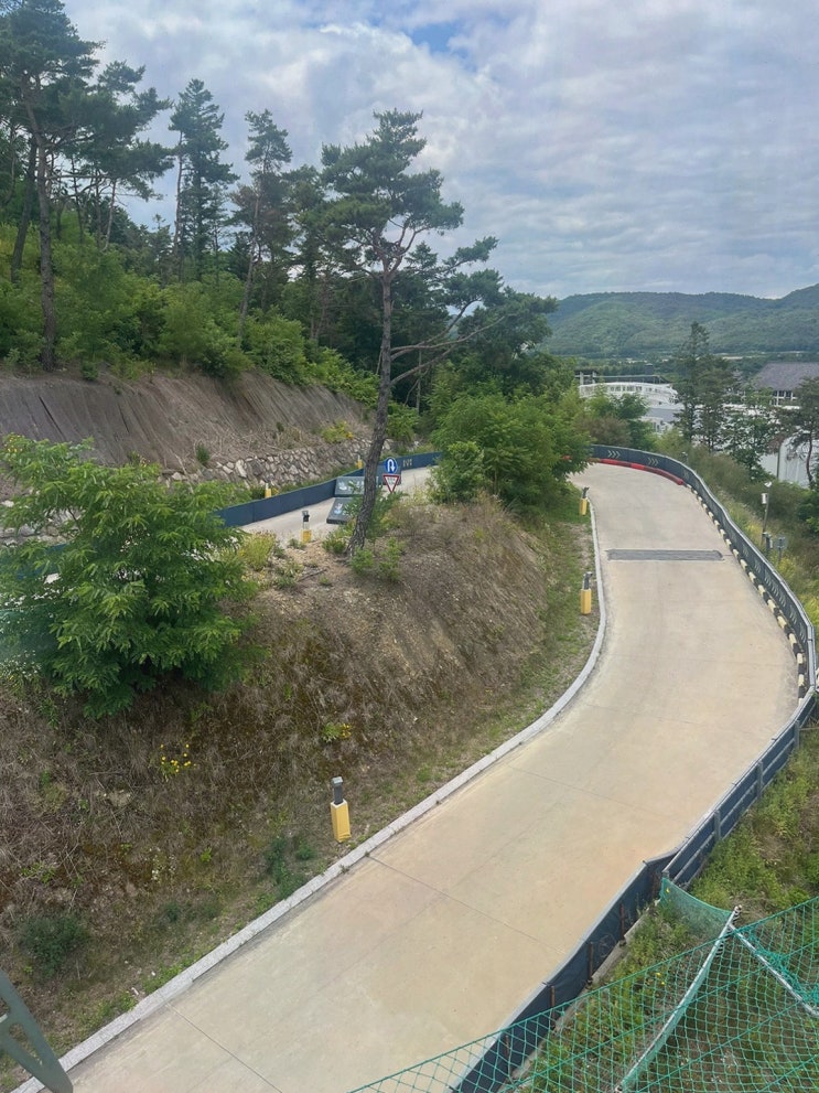 경주 이색 활동 추천, 질문 끝내는 스릴 데이트 경주루지월드