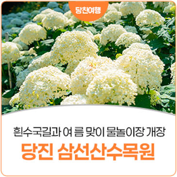 흰수국 만개한 당진 삼선산수목원, 어린이 물놀이장 개장 소식