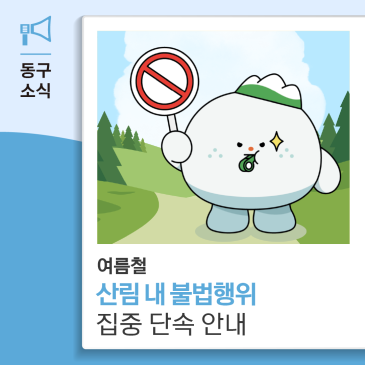 2026년 여름철 산림내 불법행위 집중단속 안내